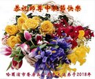 ֹ,󷨵ӹףʦ(21)