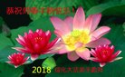 法轮功,黑龙江大法弟子恭祝师尊中秋好(19条)