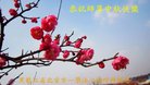 ֹ,󷨵ӹףʦ(21)