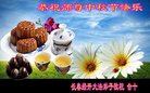 ֹ,󷨵ӹףʦ(20)