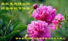 ֹ,ʡ󷨵ӹףʦ(26)