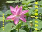ֹ,󷨵ӹףʦ(23)