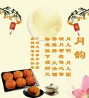 ֹ,ݴ󷨵ӹףʦ(21)