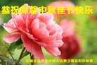 ֹ,ʯׯ󷨵ӹףʦ(24)