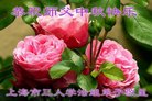 ֹ,Ϻ󷨵ӹףʦ(22)