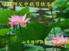 ֹ,Ϋ󷨵ӹףʦ(24)