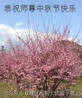 ֹ,󷨵ӹףʦ(21)