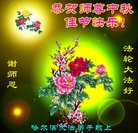 法轮功,哈尔滨大法弟子恭祝师尊中秋好(21条)