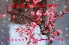 ֹ,󷨵ӹףʦ(19)