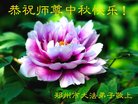 ֹ,֣ݴ󷨵ӹףʦ(21)
