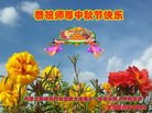 ֹ,ɹŴ󷨵ӹףʦ(21)