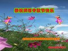 ֹ,ɹŴ󷨵ӹףʦ(21)