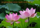 ֹ,󷨵ӹףʦ(23)