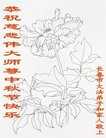 ֹ,󷨵ӹףʦ(21)