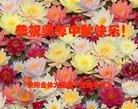ֹ,ݴ󷨵ӹףʦ(22)