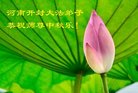 ֹ,ϴ󷨵ӹףʦ(21)