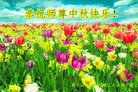 ֹ,󷨵ӹףʦ(22)