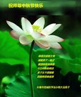 ֹ,󷨵ӹףʦ(21)