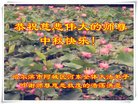 ֹ,󷨵ӹףʦ(20)