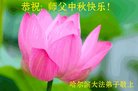 ֹ,󷨵ӹףʦ(20)