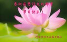 ֹ,ϴ󷨵ӹףʦ(21)