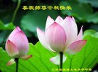 ֹ,Ĵ󷨵ӹףʦ(19)