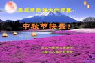 ֹ,󷨵ӹףʦ(19)