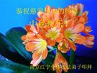 ֹ,մ󷨵ӹףʦ(19)