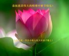 ֹ,ൺ󷨵ӹףʦ(19)