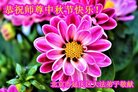 ֹ,󷨵ӹףʦ(18)