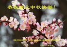 ֹ,ɶ󷨵ӹףʦ(18)