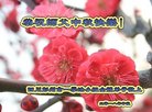 ֹ,ɶ󷨵ӹףʦ(18)