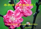 ֹ,ɶ󷨵ӹףʦ(18)