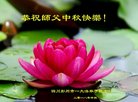 法轮功,成都大法弟子恭祝师尊中秋好(18条)