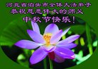 ֹ,ӱ󷨵ӹףʦ(22)