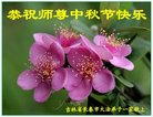 ֹ,󷨵ӹףʦ(25)