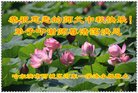 ֹ,󷨵ӹףʦ(21)