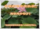 ֹ,󷨵ӹףʦ(21)