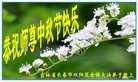 ֹ,󷨵ӹףʦ(22)