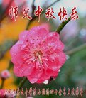 ֹ,󷨵ӹףʦ(21)