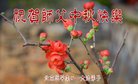 ֹ,󷨵ӹףʦ(21)