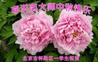 ֹ,󷨵ӹףʦ(21)