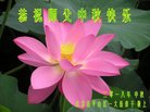 ֹ,󷨵ӹףʦ(21)