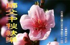 ֹ,󷨵ӹףʦ(21)