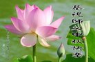 ֹ,󷨵ӹףʦ(21)