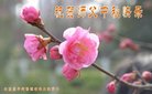 ֹ,󷨵ӹףʦ(20)