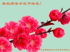 ֹ,Ϋ󷨵ӹףʦ(24)