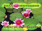 ֹ,󷨵ӹףʦ(22)