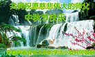ֹ,󷨵ӹףʦ(20)