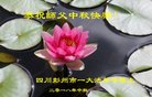 ֹ,ɶ󷨵ӹףʦ(18)
